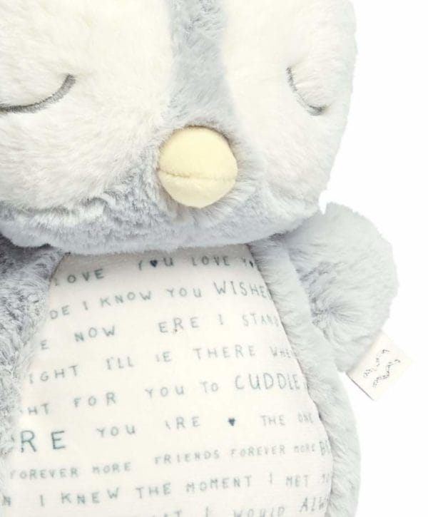 75611AW01 01 OWLBIE ALWAYS