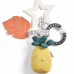 Mamas & Papas Wildly Adventures Educational Teething Toy - Linkie Pineapple