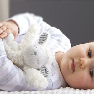 East coast website product image 8173cs sc counting sheep comfort