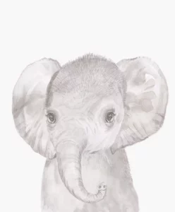 Mamas Papas Wall Art Wallpaper Welcome To The World Wall Art Elephant 29051102855333 1024x1024@2x