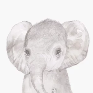 Mamas Papas Wall Art Wallpaper Welcome To The World Wall Art Elephant 29051102855333 1024x1024@2x