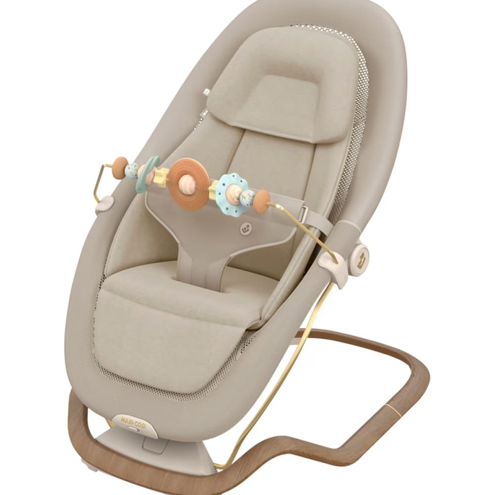 Maxi cosi dove pro toy bar (1)