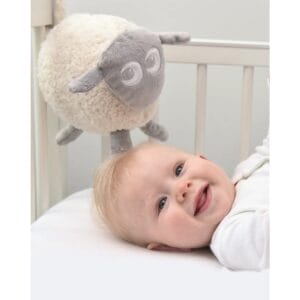 Ewan the dream sheep 2
